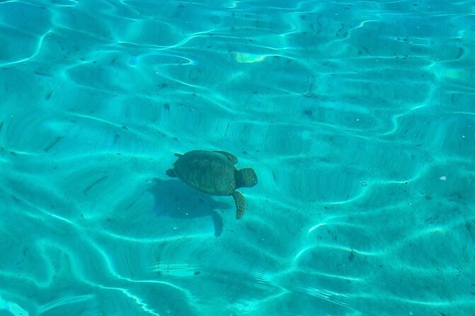 Half Day Private Boat Snorkeling Excursion Moorea - The coral garden and submerged tiki statues