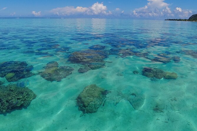 Half Day Private Boat Snorkeling Excursion Moorea - Food, water, and what you should plan for
