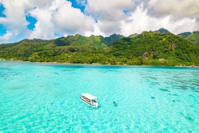 Half Day / Private Lagoon Adventure in Mo'orea - Key points to know before booking