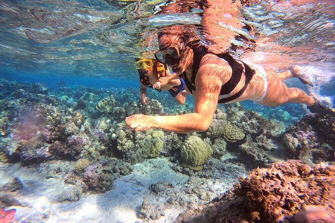 Half Day / Private Lagoon Adventure in Mo'orea - Fresh fruit and a taste of local hospitality