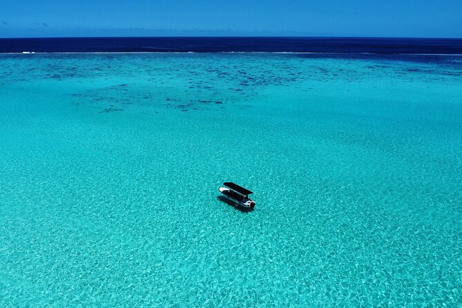 Half Day / Private Lagoon Adventure in Mo'orea - The shallow sandbar and its gentle wildlife