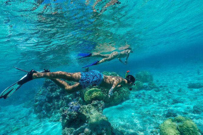 Half Day Private Lagoon Snorkeling Experience - Setting out at 9:00 am across Bora Bora’s lagoon