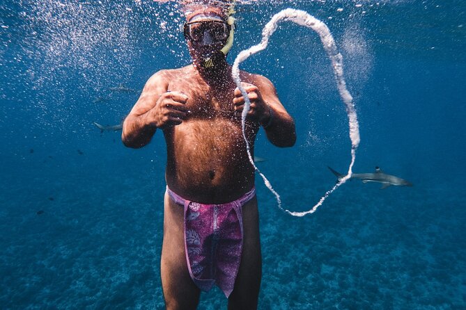 Half-Day Private Luxury Tour from Bora Bora - Swimming near the black-tip sharks