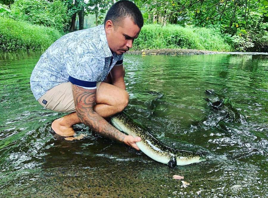 Half day Private tour of Moorea Safari Albert Pick up hotel - Key points to know before booking