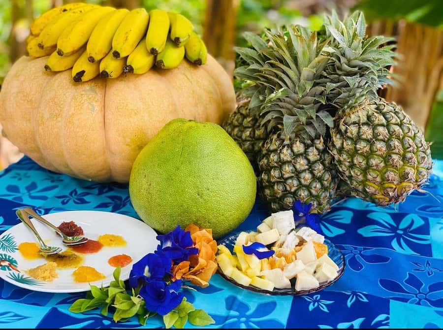 Half day Private tour of Moorea Safari Albert Pick up hotel - From Tahiti: the 8:00 AM ferry connection