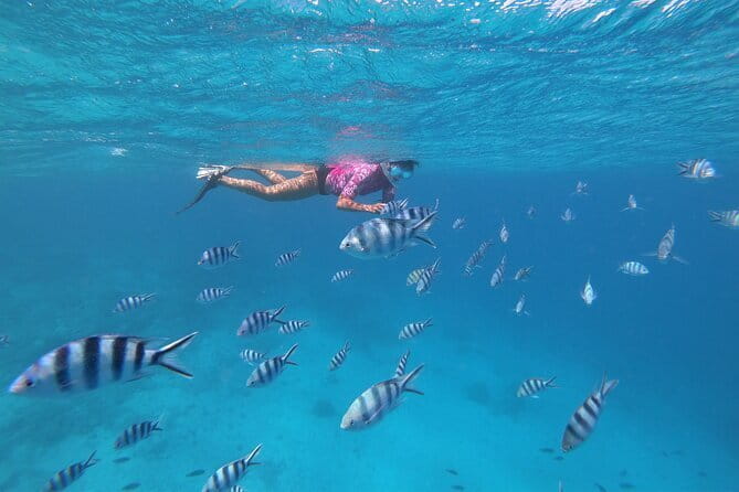Half-Day Sailing Trip on the Lagoon of Tahiti Comments - Three reef stops for swimming and snorkeling