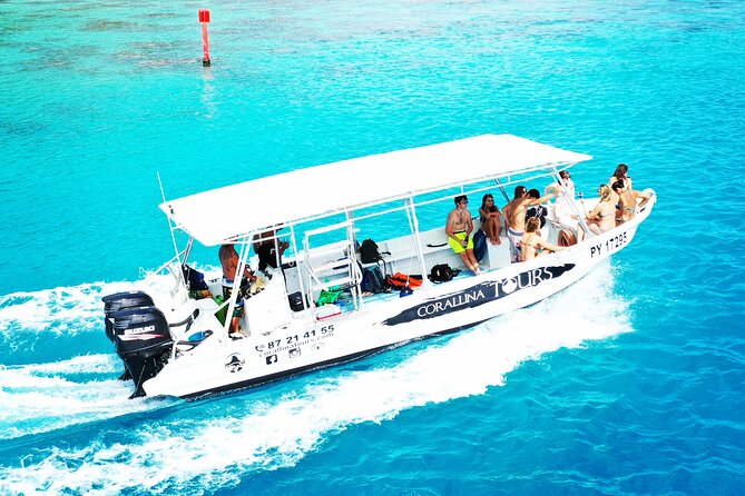 Half Day Snorkeling in Moorea - Key Points Before You Book