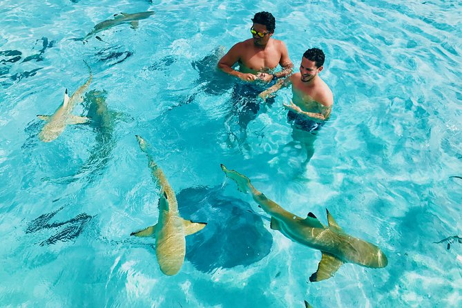 Half Day Snorkeling in Moorea - Why a Small Boat Matters in Moorea