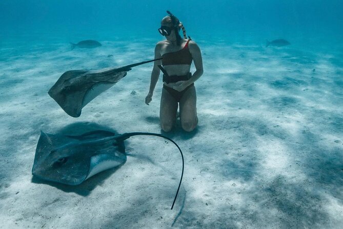 Half Day Snorkeling in Moorea - Safety, Guides, and Family Suitability
