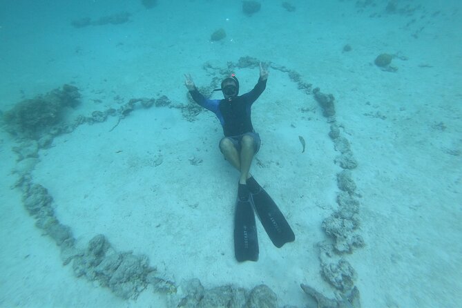Half-Day Snorkeling Tour in Tahiti - Stop two: the Aquarium and its underwater wrecks