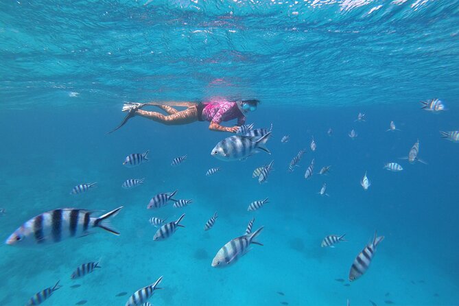 Half-Day Snorkeling Tour in Tahiti - Stop three: turtles at Sapinus Bay