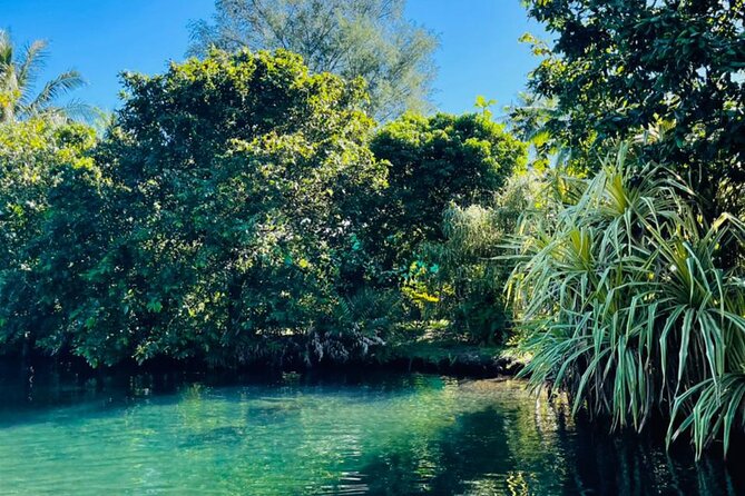 Half day Tahiti Peninsula and Teahupoo boat tour (shared boat) - What the $255.07 price really covers