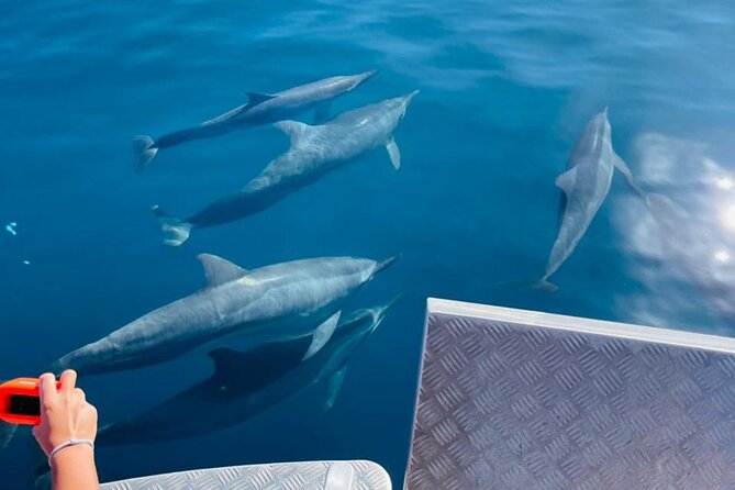 Half day Tahiti Peninsula and Teahupoo boat tour (shared boat) - Practical details for a smoother morning