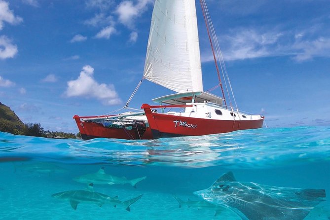 Half Day Tour : Moorea Snorkeling & Sailing on a Catamaran named Taboo - Key points to know before booking