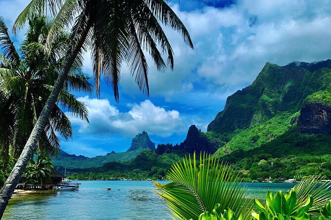 Half-Day Tour of Moorea Island in a Small Group - Five things to know before you book