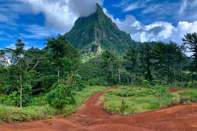 Half-Day Tour of Moorea Island in a Small Group - Moorea in half a day: what this tour actually delivers