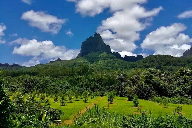 Half-Day Tour of Moorea Island in a Small Group - Rotui: fruit juice with a Polynesian twist