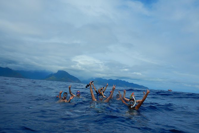 Half day whale tour 4h00 - The six-person water rule changes the value