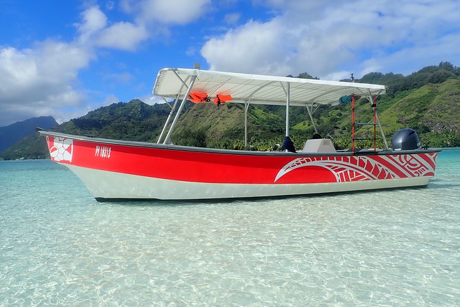 Half day whale tour 4h00 - Who will enjoy this Moorea whale trip?