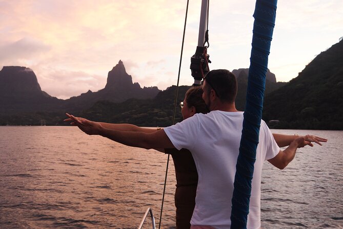 Half day whale watching - Without launch - What Mori Ora Gives You That a Basic Boat Ride Does Not