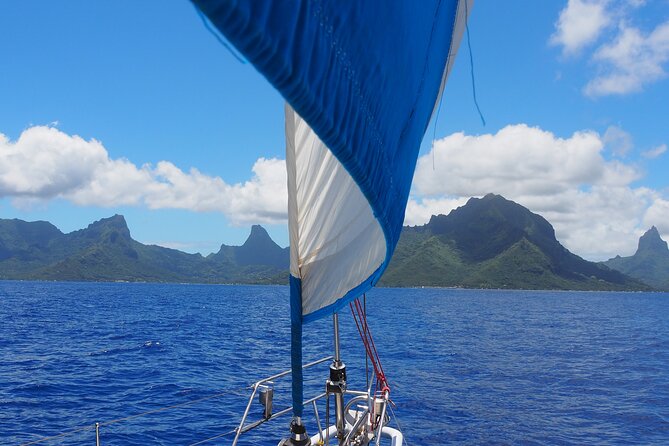 Half day whale watching - Without launch - Sailing Beneath Moorea’s Green Peaks