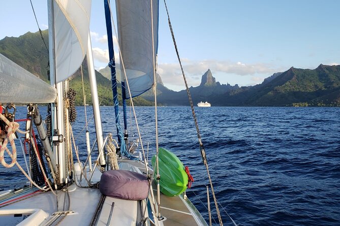 Half day whale watching - Without launch - The Sunset Timing and Special-Occasion Appeal