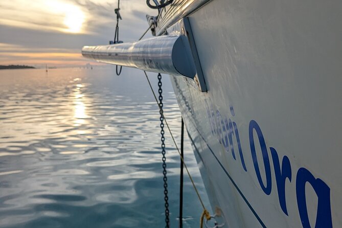 Half day whale watching - Without launch - What the Crew Adds to the Experience