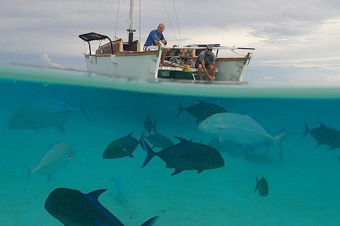 Introduction to sailing and discovering the lagoon - Food, drinks, and the practical comfort of a small boat