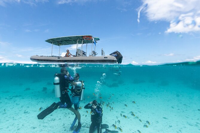 Introductory Scuba Diving Experience in Bora Bora - Four things to know before booking