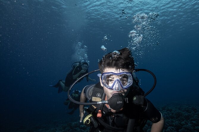 Introductory Scuba Diving Experience in Bora Bora - A 1:30 pm start with hotel pickup