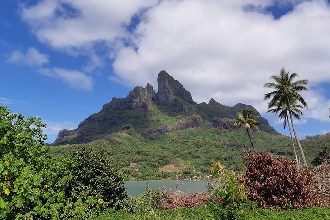 Island Tour & Getaway on the Bora Bora Mountains by Quad / ATV - Crossing Vaitape and reaching Amanahune Plateau