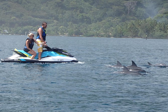 Jet-Ski Découverte 1H00 Jet Ski excursion to Moorea (Single or two-seater) - What the guides do well