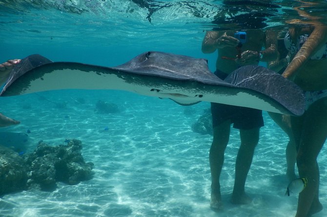 Jet-ski excursion 3 hrs Jet ski excursion to Moorea (single or two-seater) - Weather can change the entire day