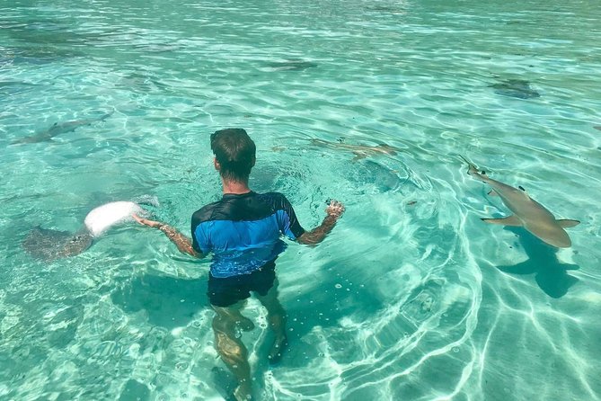 Jet Ski Moorea Customed Tour only - What the private Moorea format really means