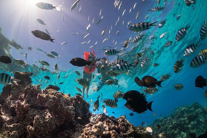 Keishi Tour Half Day Shared Excursion - Four Hours Around Bora Bora’s Lagoon