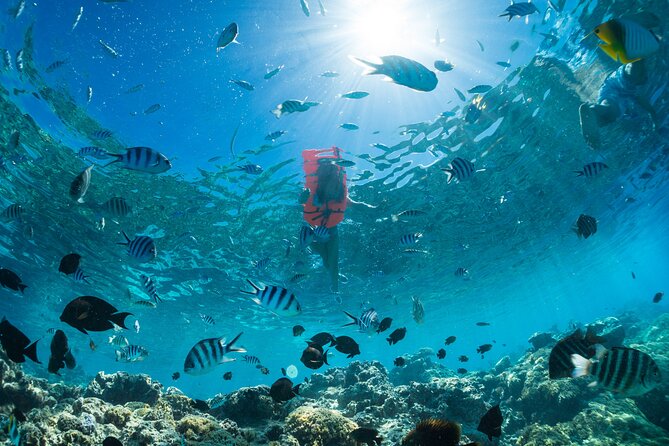 Keishi Tour Half Day Shared Excursion - Price, Timing, and Booking Advice