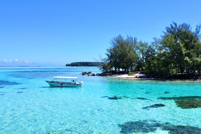 Lagoon and Marine Wildlife Tour in Moorea - Fruit and Local Refreshments Onboard