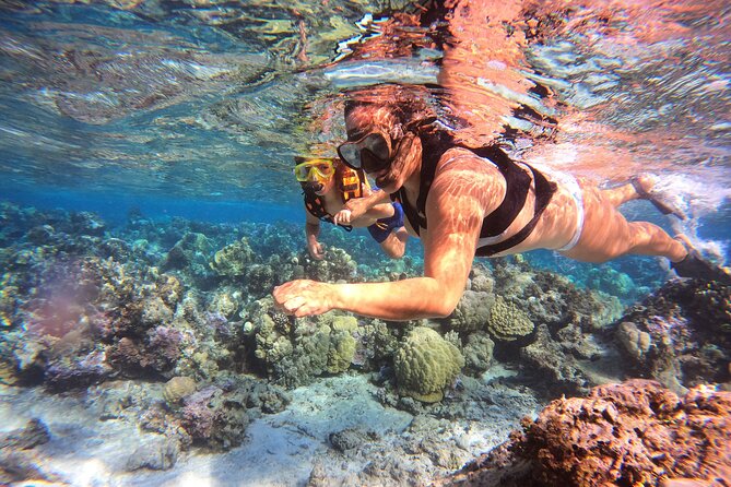 Lagoon and Marine Wildlife Tour in Moorea - Who Will Enjoy This Moorea Boat Trip Most
