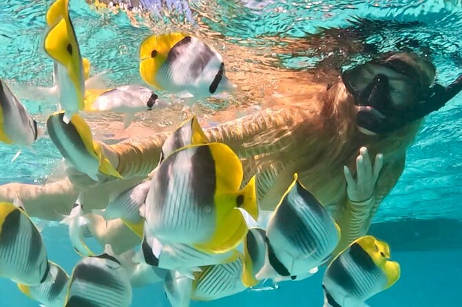 Lagoon and Marine Wildlife Tour in Moorea - Cruising Through Moorea’s Turquoise Lagoon