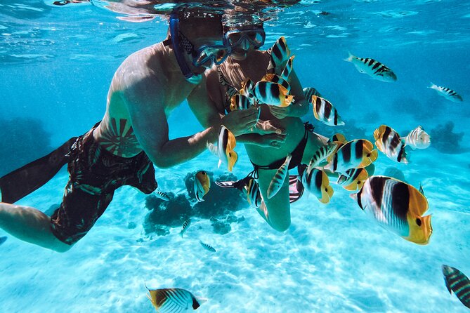 Lagoon and Wildlife Discovery on a Private Boat in Moorea - Free GoPro photos without losing the moment