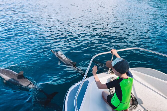 Lagoon and Wildlife Discovery on a Private Boat in Moorea - Is $293.94 per person a fair price?