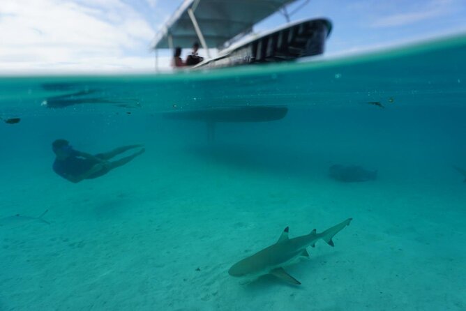Lagoon Exploration and Snorkeling in Moorea - Starting at Cocobeach Restaurant on Moorea