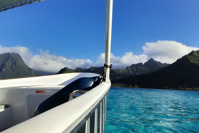 Lagoon Exploration and Snorkeling in Moorea - Meeting black tip reef sharks and stingrays