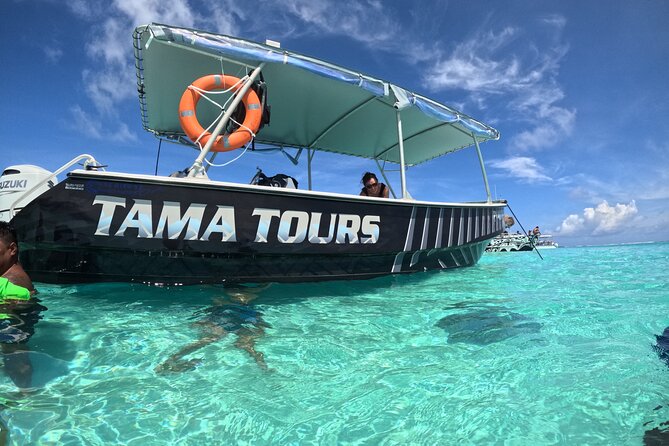 Lagoon Exploration and Snorkeling in Moorea - Looking for sea turtles among the reef