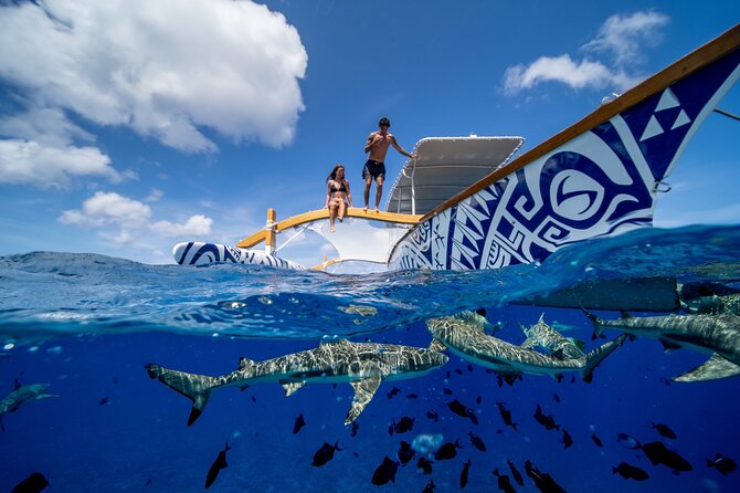 Lagoon Snorkeling Tour with Tahitian Oven Lunch in Bora Bora - A final swim with peaceful sharks