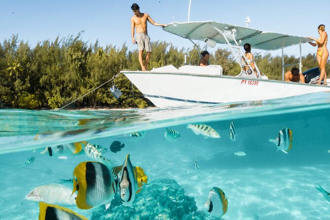 Lagoon Tour in Moorea in Small Group with Lunch - Why This Moorea Lagoon Tour Feels Different