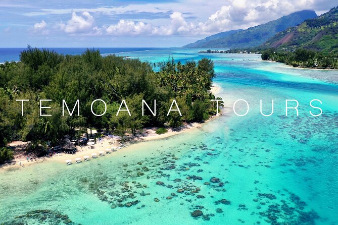 Lagoon Tour + lunch with your feet in the water on a Motu - Why this Moorea outing feels different