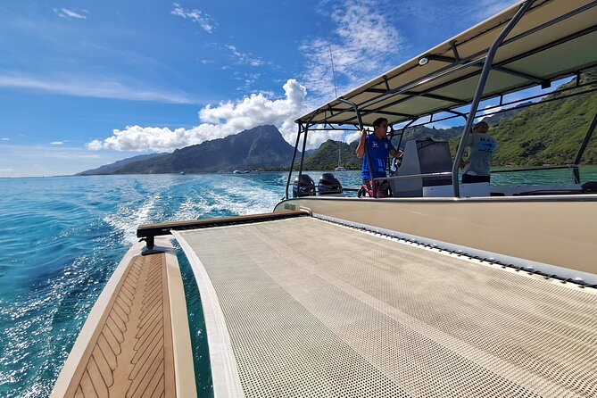 Lagoon Tour + lunch with your feet in the water on a Motu - Who should book this experience?