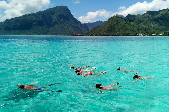 Land and Sea cultural tour to discover traditions, heritage and the lagoon - Who will get the most from this tour