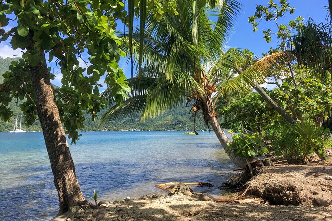 Land and Sea cultural tour to discover traditions, heritage and the lagoon - Price, group size, and cancellation terms